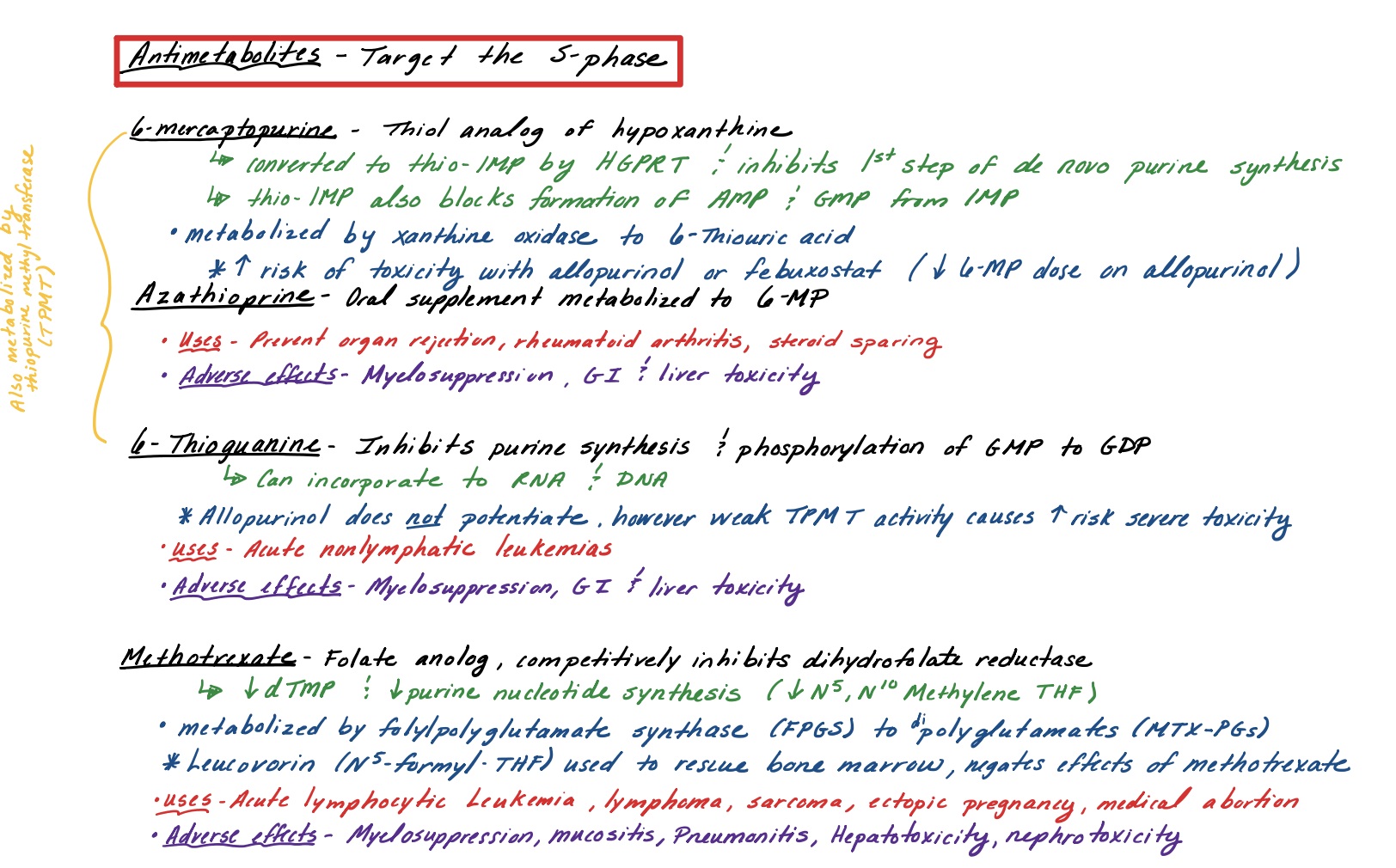 Pharmacology Notes: CYPs & Antimetabolites Study Guide