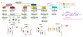 Microbiology & Immunology Basics Study Guide
