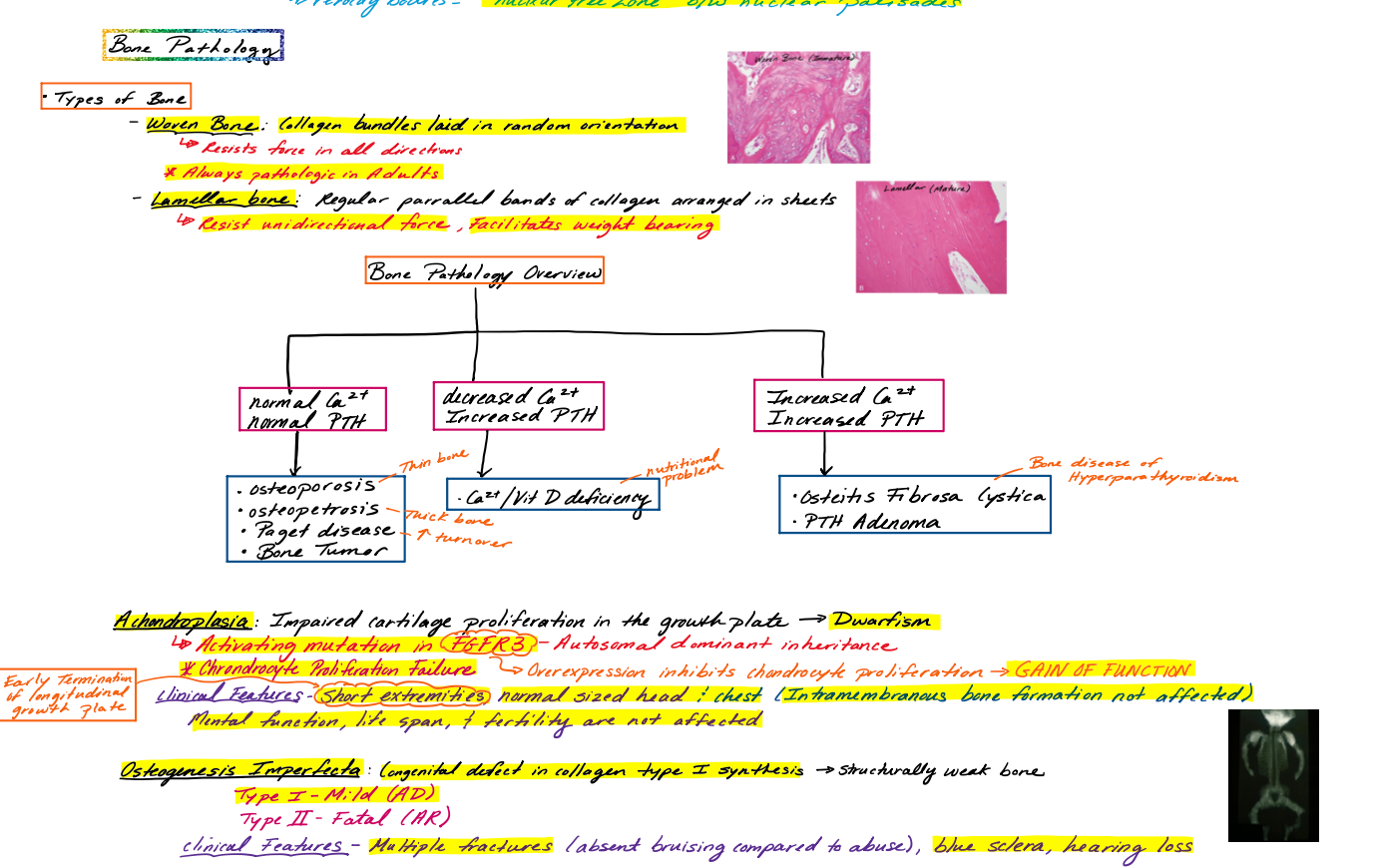 CNS, Bone & Immunology Pathology Study Guide