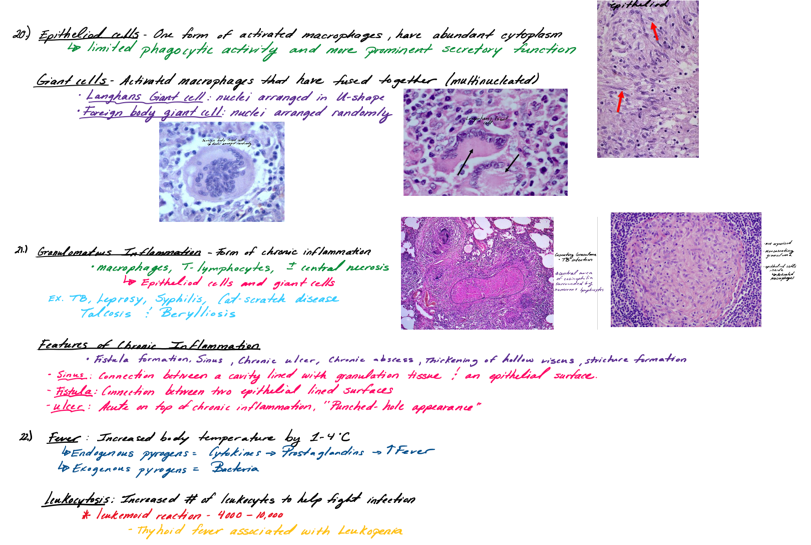 Inflammation, Healing, Parasites & Fungal Infections Study Guide