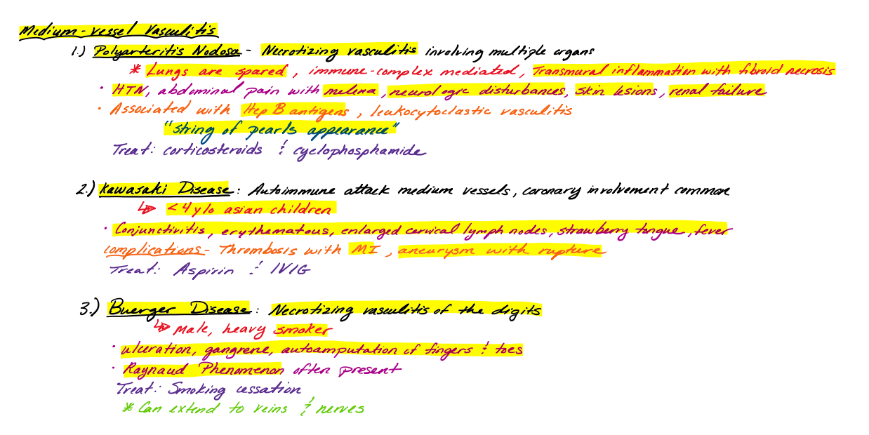 Vascular & Renal Pathology Study Guide