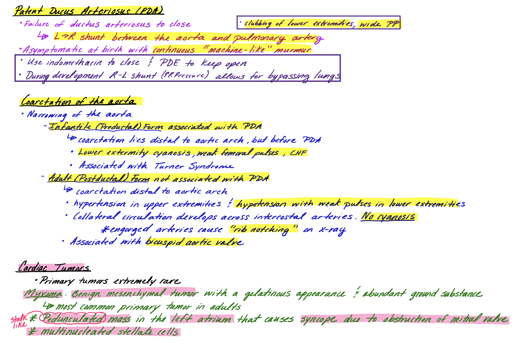Cardiac Pathology Study Guide for Medical Students