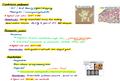Multisystem & CNS Infections Study Guide