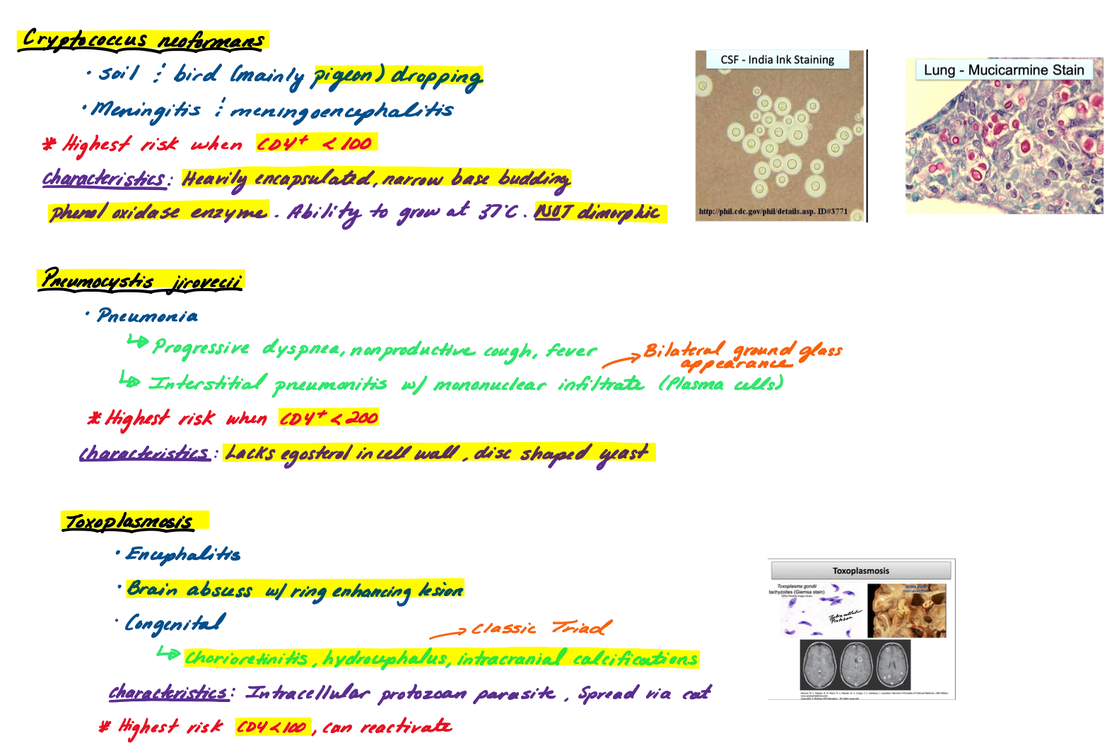 Multisystem & CNS Infections Study Guide